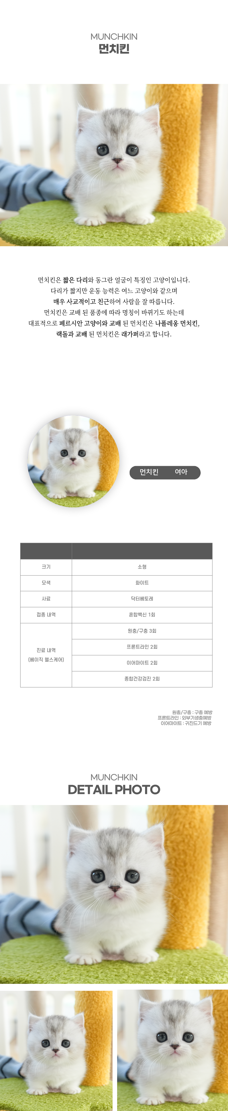 먼치킨_상세이미지_2